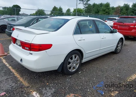 2005 Honda Accord 3.0 Ex из США, поврежденный, VIN 1HGCM66565A024667